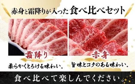 【ふるなび限定】飛騨牛 焼肉 400g 赤身or霜降り 焼肉 天狗総本店 BP013 FN-Limited-PR