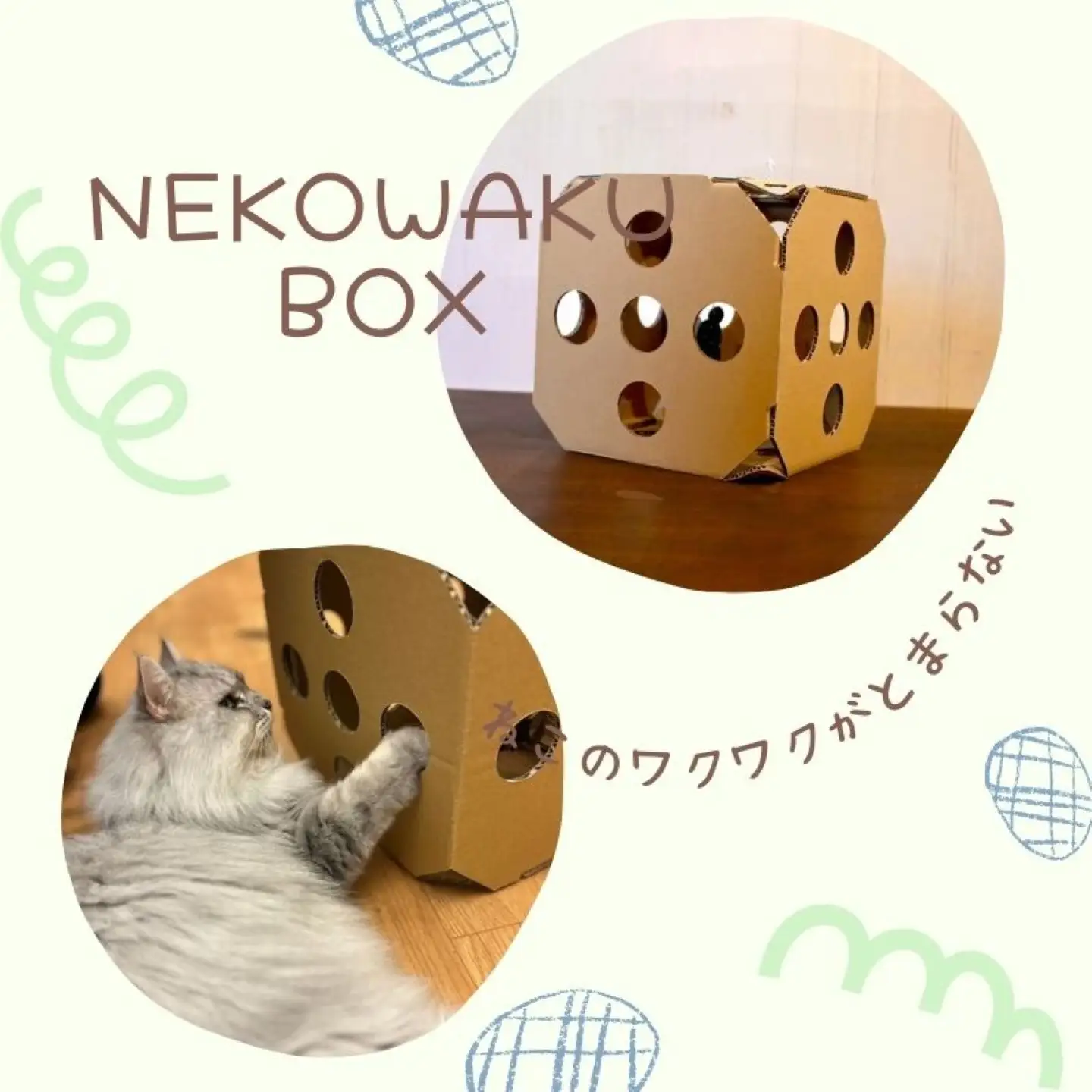 necowakuBOX