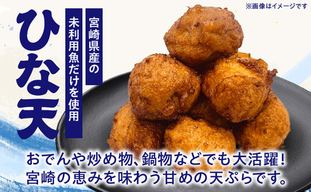 魚のすり身の天ぷら「ひな天」 さつま揚げ 未利用魚 天ぷら オオニベ