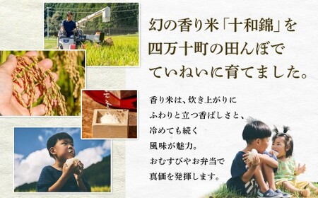 四万十育ち！冷めても香る幻の米『香り米』5kg／Fnp-01 香り米