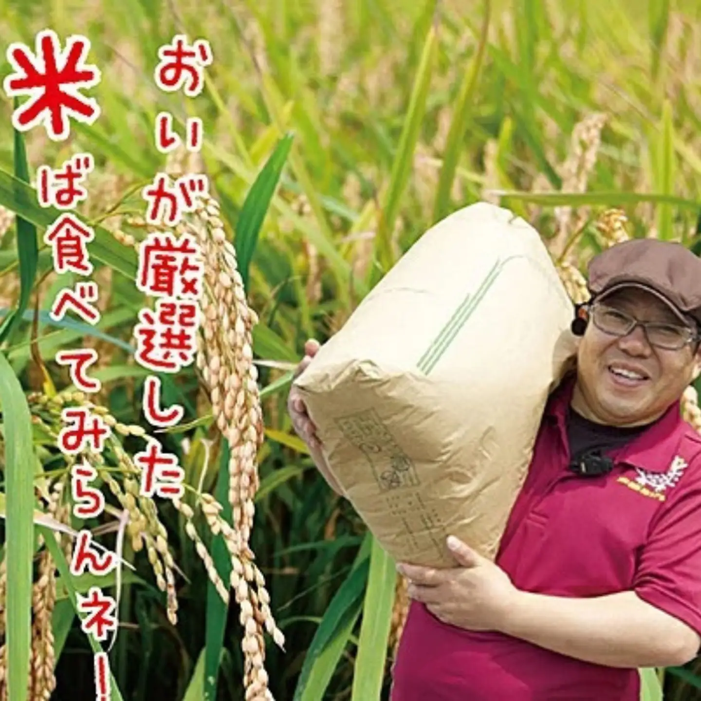 令和7年産　佐賀市三瀬村産「コシヒカリ」10kg（5kg×2袋）：B335-020