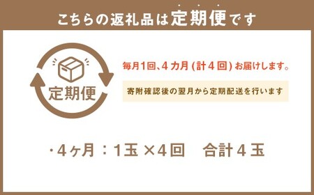 【4ヶ月定期便】 静岡県産 高級アローマメロン 小玉 1玉（約0.9kg以上） 化粧箱入 メロン めろん くだもの 果物 果実 フルーツ ガラス温室栽培 ブランド 国産 静岡県 菊川市 常温