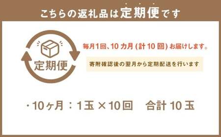 【10ヶ月定期便】静岡県産 高級アローマメロン 小玉 1玉（約0.9kg以上） 化粧箱入 メロン めろん くだもの 果物 果実 フルーツ ガラス温室栽培 ブランド 国産 静岡県 菊川市 常温