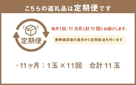 【11ヶ月定期便】静岡県産 高級アローマメロン 小玉 1玉（約0.9kg以上） 化粧箱入 メロン めろん くだもの 果物 果実 フルーツ ガラス温室栽培 ブランド 国産 静岡県 菊川市 常温