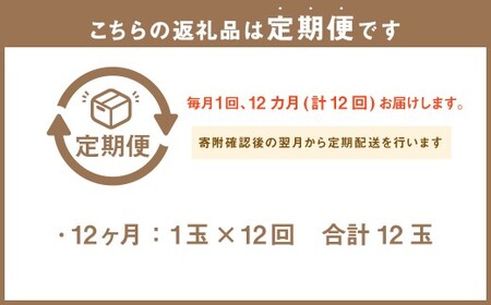 【12ヶ月定期便】静岡県産 高級アローマメロン 小玉 1玉（約0.9kg以上） 化粧箱入 メロン めろん くだもの 果物 果実 フルーツ ガラス温室栽培 ブランド 国産 静岡県 菊川市 常温