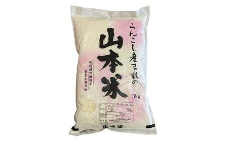 【令和7年産】蘭越産 ななつぼし 5kg×1袋 米 こめ お米 おこめ 白米 精米 ご飯 ごはん ななつぼし 蘭越産 北海道産