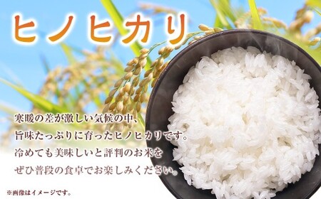 【3回定期便】熊本県湯前町産 ヒノヒカリ 5kg ／ 米 お米 精米 白米 ご飯 ごはん ひのひかり 国産 常温 熊本県 湯前町