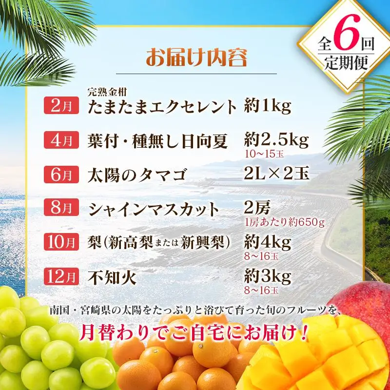 【偶数月 6回定期便】旬 人気 フルーツ 南国宮崎産 太陽のタマゴ きんかん シャインマスカット 日向夏 梨 みかん 柑橘 マンゴー ぶどう 果物 詰め合わせ＜A-2コース M120＞