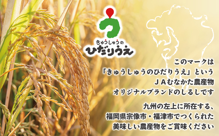 【令和7年産米】JAよりお届け！福岡県ブランド米「夢つくし」 1kg[H2306]