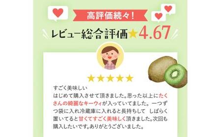 わけあり キウイ 10kg+250g（傷み補償分）扁平果 / 和歌山 家庭用 フルーツ 果物 くだもの ※2026年11月中旬より2027年4月下旬頃順次発送予定 ※北海道・沖縄・離島配送不可 【ikd716】