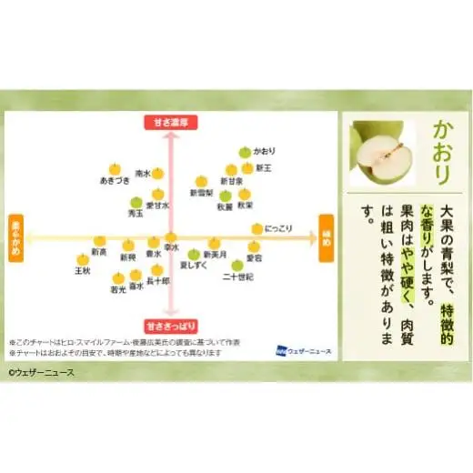※先行予約※【かおり5kg】かまがや育ちの完熟梨（観光組合）