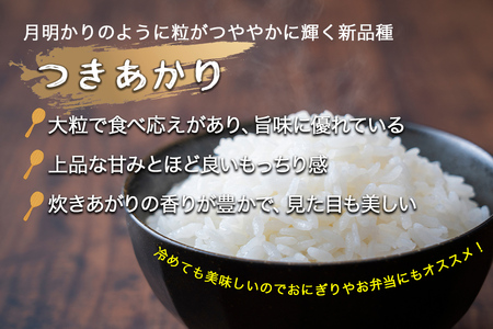 令和8年産　月明りのように輝く特別な一膳　徳田米　つきあかり玄米　30kg/岩手県産 玄米 げんまい 米 コメ こめ 徳田米 とくでんまい 献上米 ササニシキ ささにしき ブランド米月明りつきあかりヒトメボレひとめぼれ 産地直送 厳選 鮮度 旬  米 ごはん おにぎり めし お手軽 ふっくら 人気 お取り寄せ 高評価 ふるさと 岩手県 矢巾町