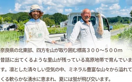 【定期便3回】自然栽培米 玄米 ＜令和7年産 3kg＞ ／ ふるさと納税 無農薬 米 お米 一等米 こめ コメ 国産 新米 玄米 農家やまおか 奈良県 宇陀市