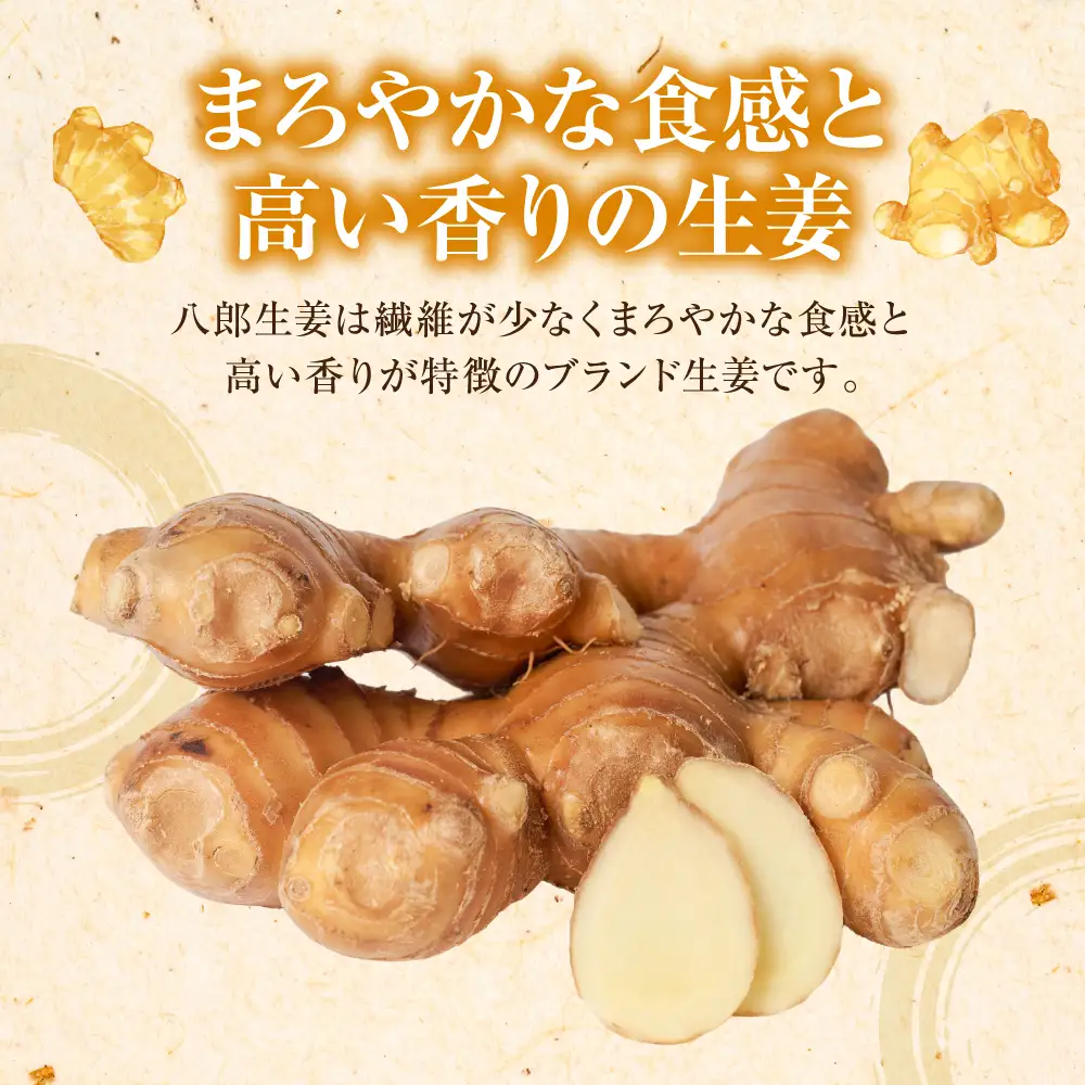 八郎生姜 2kg しょうが ショウガ ガリ ジンジャー 野菜 食品 薬味 生姜焼き しょうが焼き 温活 冷え性 対策 熊本県 八代市 東陽町 産地直送 国産