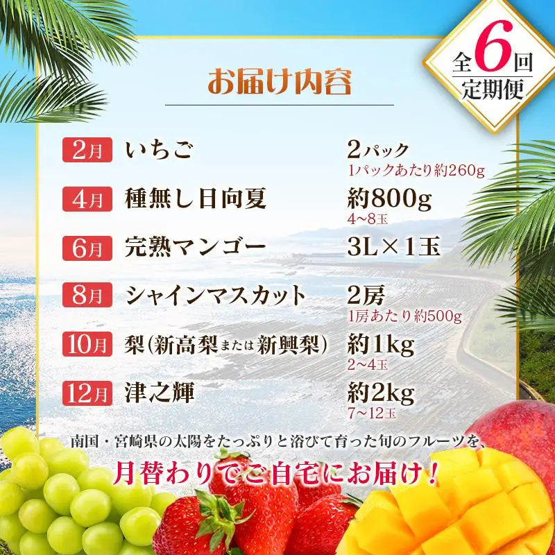 【偶数月 6回定期便】旬 人気 フルーツ 南国宮崎産 マンゴー シャインマスカット いちご 日向夏 梨 みかん 柑橘 ぶどう 果物 詰め合わせ 宮崎県 九州＜B-2コース M220＞
