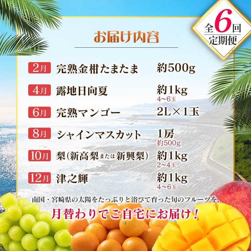 【偶数月 6回定期便】旬 人気 フルーツ 南国宮崎産 マンゴー 金柑たまたま シャインマスカット みかん 梨 日向夏 柑橘 きんかん ぶどう 果物 詰め合わせ 宮崎県 九州＜C-2コース M320＞
