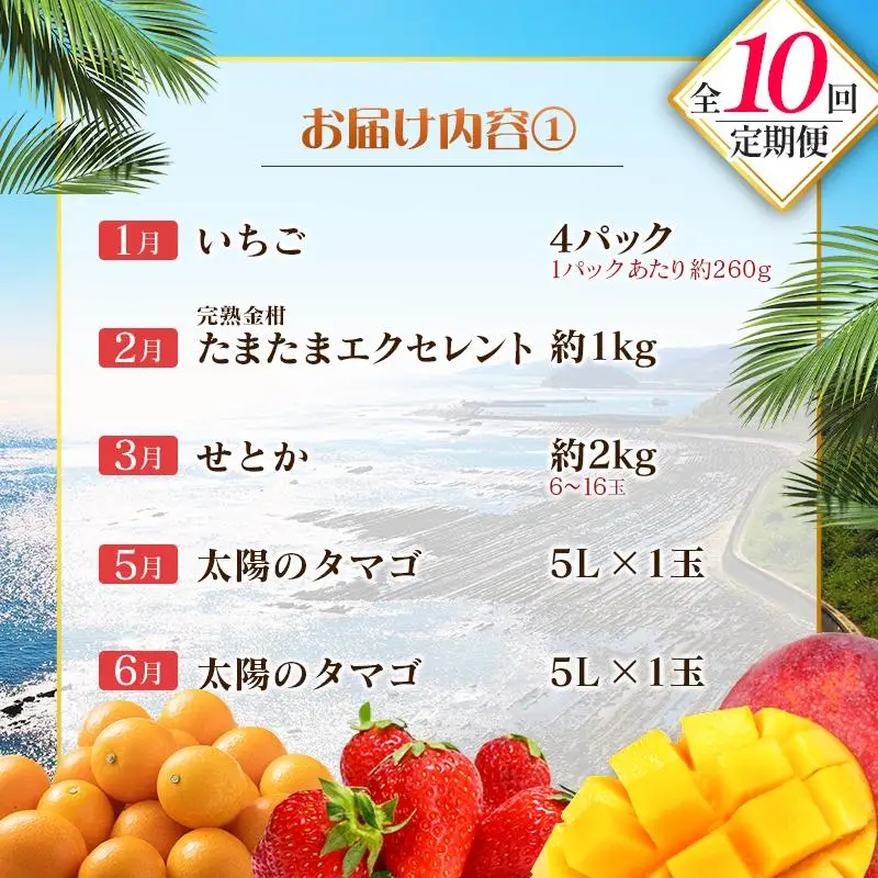 【10回定期便】旬 人気 フルーツ 南国宮崎産 太陽のタマゴ 金柑たまたまエクセレント シャインマスカット ピオーネ いちご みかん 梨 メロン 柑橘 マンゴー きんかん たまたま ぶどう 果物 詰め合わせ 宮崎県 九州＜E-1コース M500＞