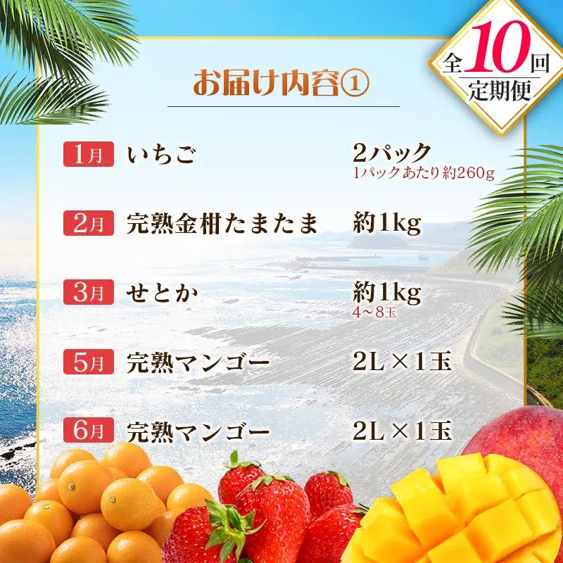 【10回定期便】旬 人気 フルーツ 南国宮崎産 マンゴー 金柑たまたま シャインマスカット ピオーネ いちご みかん 梨 メロン 柑橘 きんかん ぶどう 果物 詰め合わせ 宮崎県 九州＜E-2コース M600＞