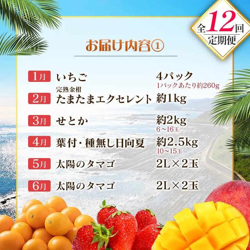 【12回定期便】旬 人気 フルーツ 南国宮崎産 太陽のタマゴ たまたまエクセレント シャインマスカット ピオーネ いちご みかん 日向夏 メロン 梨 柑橘 完熟 マンゴー きんかん たまたま ぶどう 果物 詰め合わせ 宮崎県 九州 1年 毎月お届け＜Aコース M100＞
