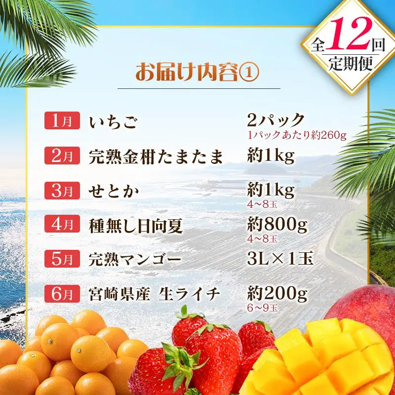 【12回定期便】旬 人気 フルーツ 南国宮崎産 マンゴー ライチ 金柑たまたま シャインマスカット ピオーネ いちご みかん 日向夏 メロン 梨 柑橘 きんかん ぶどう 果物 詰め合わせ 宮崎県 九州 1年 毎月お届け＜Bコース M200＞
