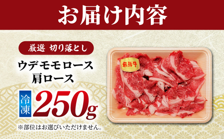 飛騨牛 厳選切り落とし250g（ウデ モモ ロース 肩ロース）（冷凍） 牛肉 肉 ブランド肉 岐阜市 / 羊Diningひとみしり[ANIF005]
