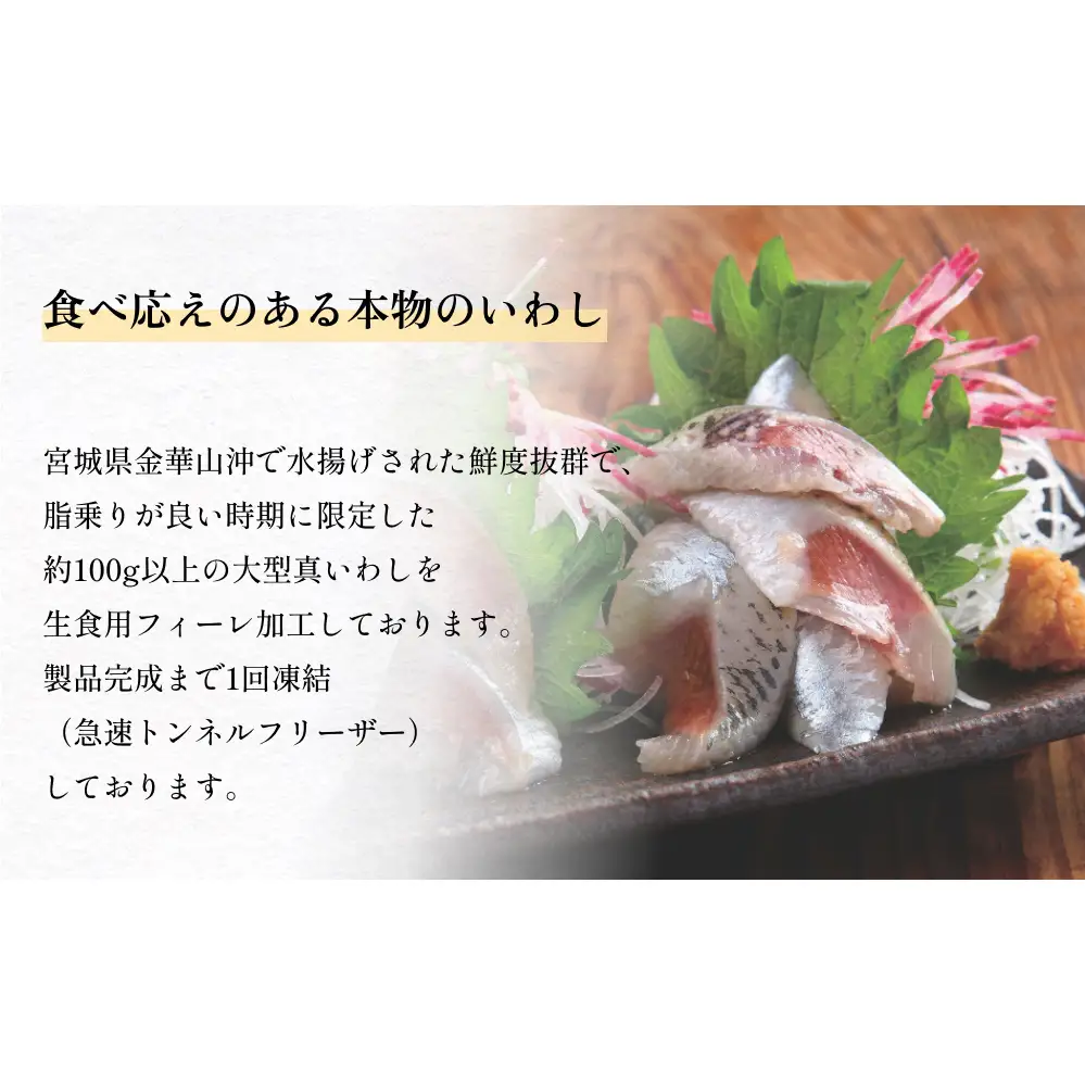 大とろいわし さんま 欲張り セット フィーレ フィレ イワシ いわし 鰯 秋刀魚 サンマ 魚介 魚介類 海鮮 新鮮 冷凍 石巻市産 宮城県 石巻市