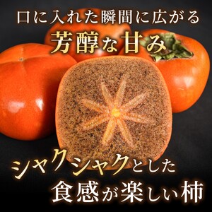 【2026年発送】 紀の川柿 （黒蜜柿）希少栽培！ 秀品６個～９個 【※2026年10月上旬から11月上旬頃発送】【kgr044】 
