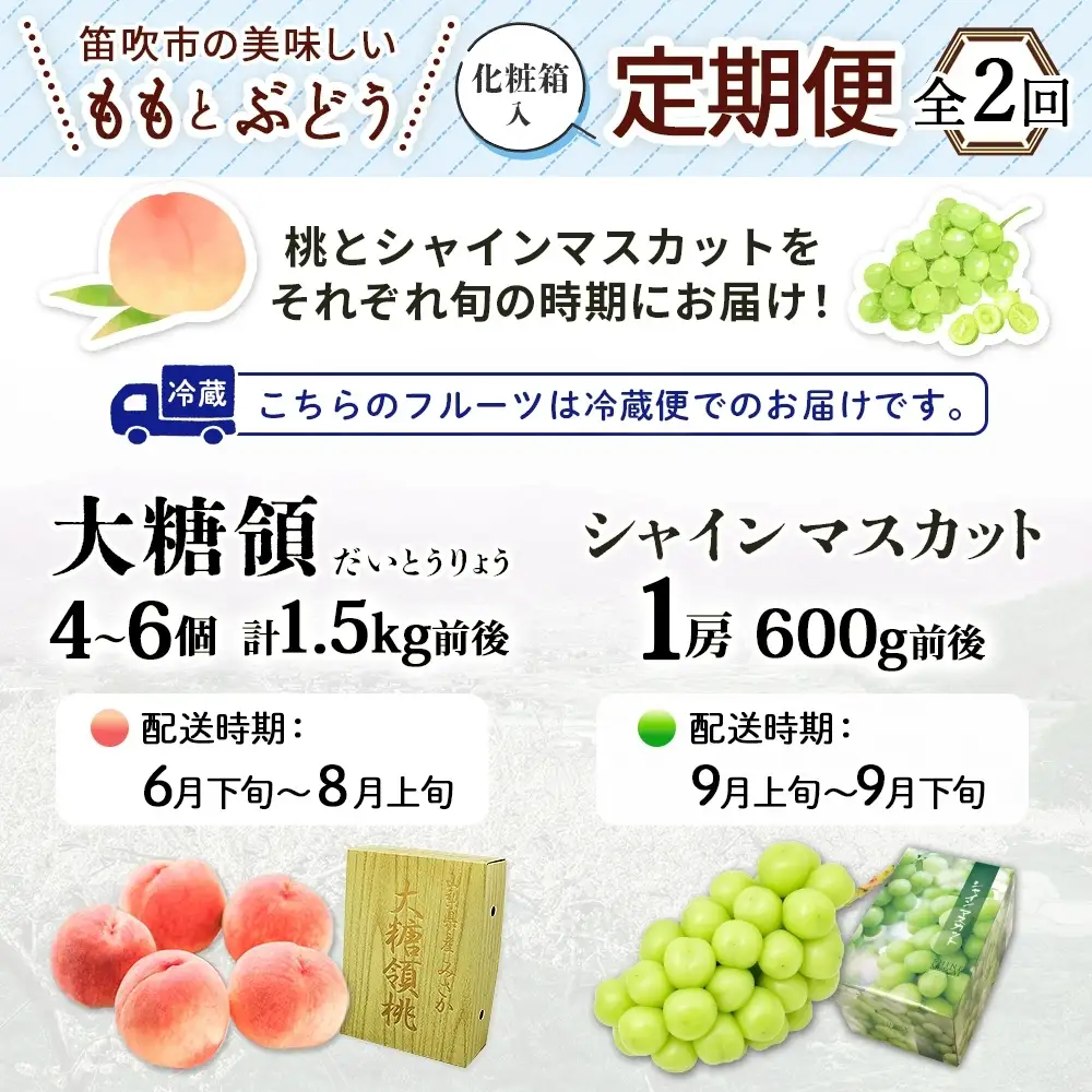 【2026年発送★先行予約】定期便全2回 桃 秀品 1.5kg 大糖領 シャインマスカット 1房 600g クール便 177-020-26y