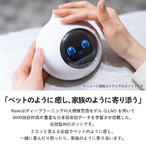 会話AIロボットRomi（Lacatanモデル）本体＜ムーングレー＞ 【212001-4】