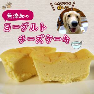 愛犬用 ワッフル 2枚 ヨーグルト チーズケーキ 1個 セット 無添加 犬用