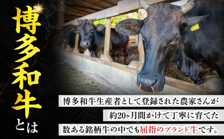博多和牛 ハンバーグ140g×5個入り [VET011]牛肉 肉 おすすめ 人気