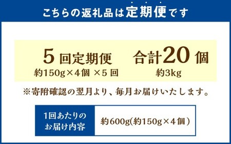 【5回定期便】 国士無双 酒粕カタラーナ 抹茶味 約600g （約150g×4個） （合計約3kg） カタラーナ 日本酒 酒粕 抹茶 洋菓子 菓子 お菓子 焼菓子 焼き菓子 大人スイーツ 定期便 北海道 小樽市 冷凍