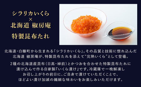 数量限定 完熟いくら【生いくら250g たれ70g】_I022-1624