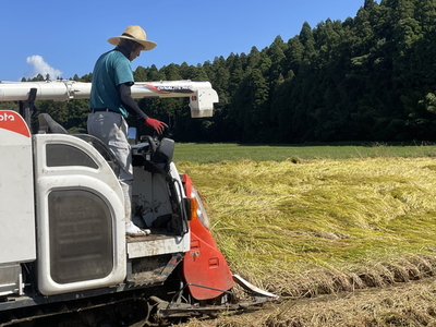 【令和7年産】井田農園のコシヒカリ 玄米 5kg 能登産『里山里海』の特撰米 | こめ 訳あり 生活応援価格 ご家庭用 石川県 七尾
