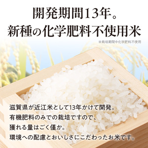 【令和8年度産】 先行予約 近江米『きらみずき』　化学肥料不使用米　5キロ×6回 偶数月お届け定期便（鮮度保持袋） DT-0009Tn