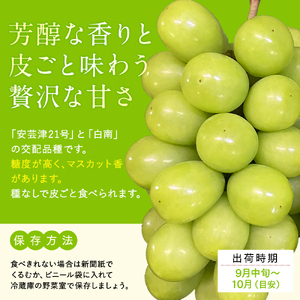 シャインマスカット(約1kg、2～3房)　