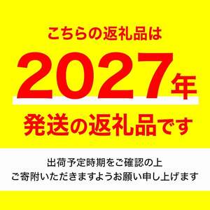 ＜先行予約！2027年1月上旬以降順次発送予定＞香川県産 越冬小原紅早生みかん(約1.5kg/個包装) 国産 果物 フルーツ みかん ミカン 柑橘 新登場 【man361】【Aglio nero】