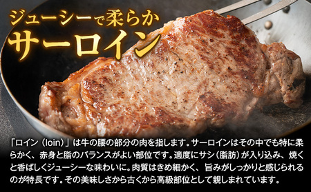 熊本県 国産牛 サーロインステーキ 900g 《30日以内に出荷予定(土日祝除く)》くまもと 熊本県 牛肉 冷凍 個別 取分け 小分け チャック付き バラ凍結 肉 お肉 ステーキ ステーキ用
