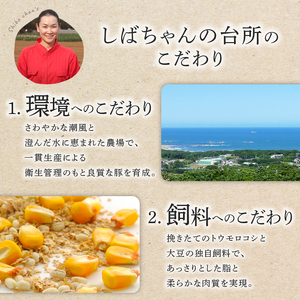 【 しゃぶしゃぶ 】 しゃぶしゃぶ セット ロース バラ モモ 約 1.2kg 小分け 冷凍