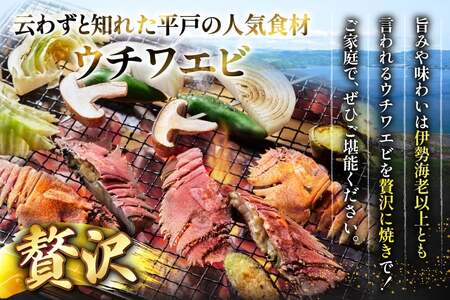 バーベキュー 海鮮 ウチワエビ BBQ セット 安心の地元 野菜付 2～3人前 [ひらど新鮮市場 長崎県 平戸市 hr42bgy400174]