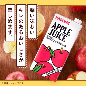 カゴメ アップルジュース ホテルレストラン用 1L 紙パック 12本入 [h172]