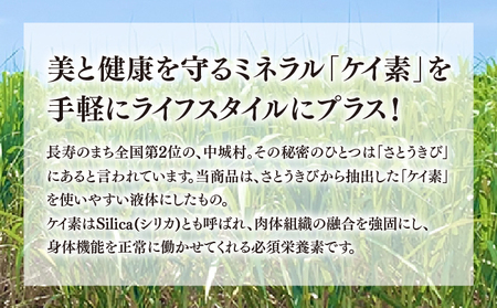 シュガーケイソ 30ml | 沖縄県産 さとうきび由来(ケイ素高含有) | SiR株式会社 |日本製 国産 さとうきび サプリメント 植物性 | 沖縄 宜野湾市 送料無料