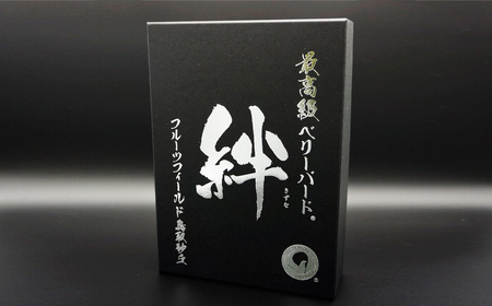 最高級ベリーバード 『絆』【期間･数量限定】_T2600406