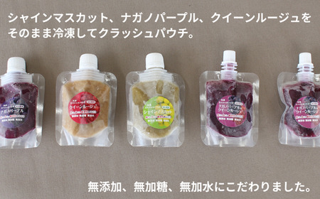 TK26 ぶどう 冷凍スペシャルパウチ リアル100％ Sサイズ（45g） 5個 // 長野県 南信州 冷凍フルーツ 冷凍パウチ パウチ シャーベット スムージー 無添加 無加糖 無加水 葡萄 シャインマスカット ナガノパープル クインルージュ®