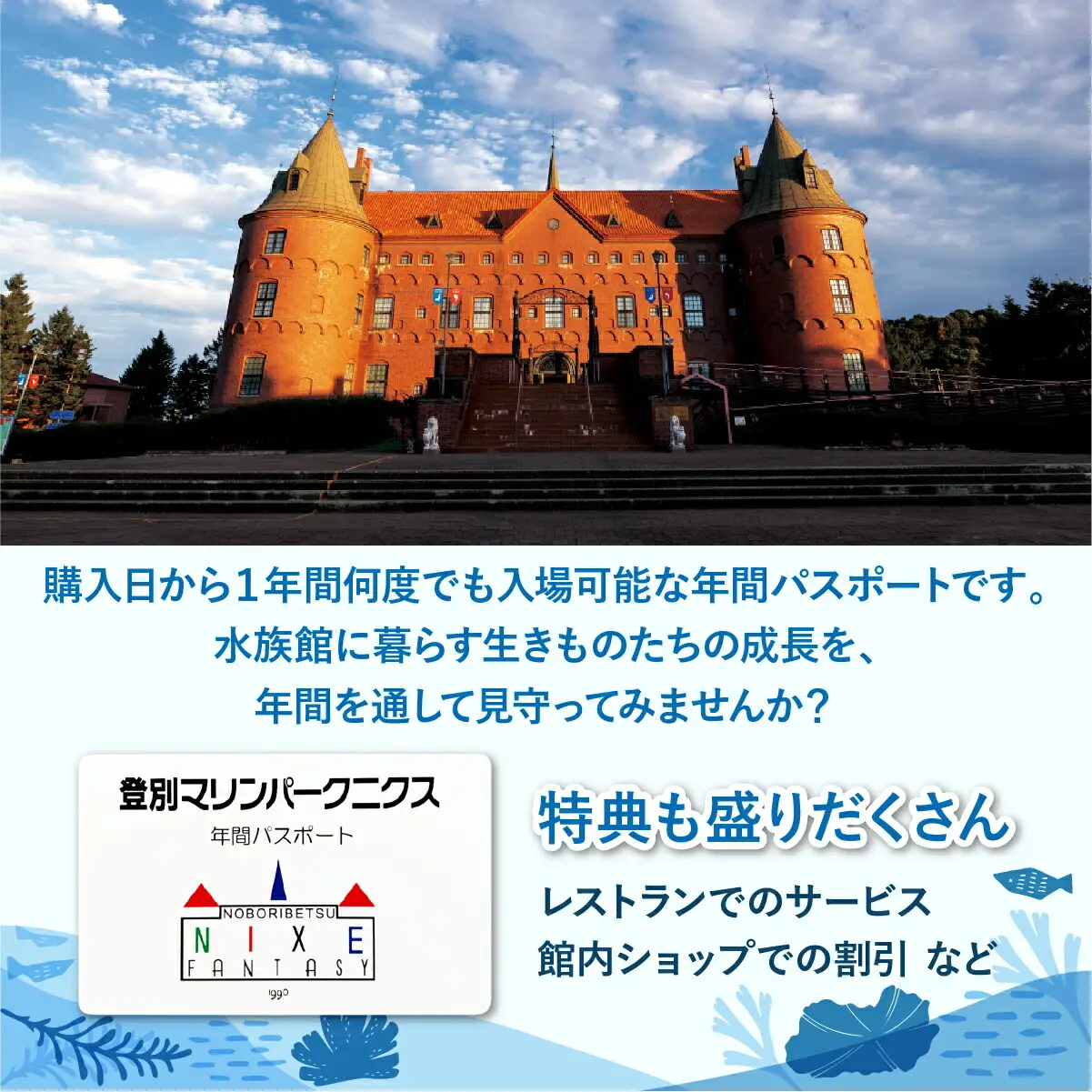登別マリンパークニクス 入場券年間パスポート 大人 1名 【 チケット 北海道 観光 旅行 体験 パーク 入場券 入園券 割引 北海道 水族館 動物園 イルカ アシカ ペンギン パレード】mr-0896