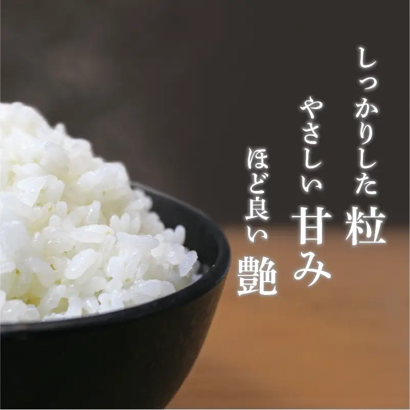 【令和7年産】 さんさん池見二代目がお届けする 福井県産いちほまれ 2kg (上白米) [A-0262_01]