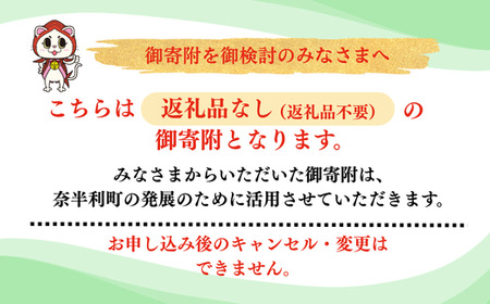 999999-2【応援寄附金】高知県奈半利町 1口 1万円 返礼品なしのご寄附　【奈半利町役場】