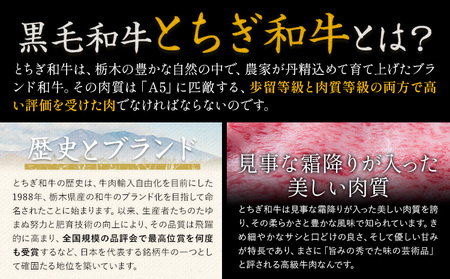 黒毛和牛とちぎ和牛焼肉切り落とし1.2kg《30日以内に出荷予定(土日祝除く)》 A4～A5等級 霜降り