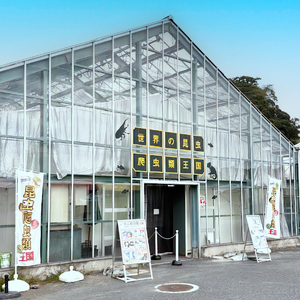 東京ドイツ村 入園チケット 1枚＋世界の昆虫爬虫類王国 1日入場引換券 5名様分 [0605]