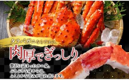 タラバガニ 蟹脚 ボイル 約1.5kg 7L 【otaru002】 カニ かに 蟹 カニ脚 蟹脚 カニ棒肉 海鮮 海の幸 ギフト お取り寄せ